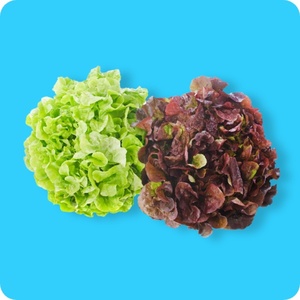 Bunter Salat mit Wurzelballen