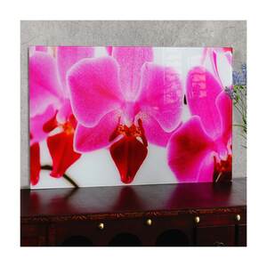 Glasbild T117, Wandbild Poster Motiv, 40x60cm ~ Orchidee