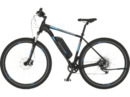 Bild 1 von FISCHER Montis EM 1724 Mountainbike (Laufradgröße: 29 Zoll, Rahmenhöhe: 51 cm, Unisex-Rad, 557 Wh, Schwarz)