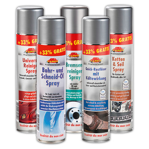 Carfit Professional Profi-Spray