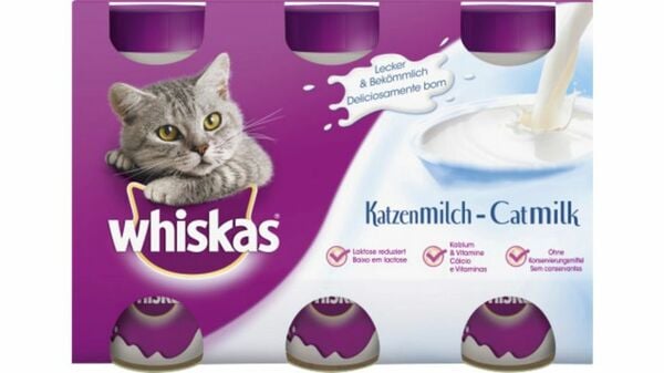 Bild 1 von WHISKAS® Katzenmilch Multipack 3 x 200ml