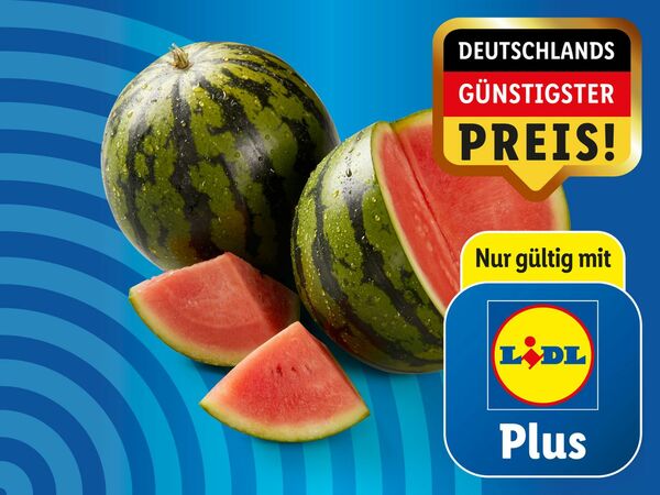 Bild 1 von Bio Baby Wassermelonen