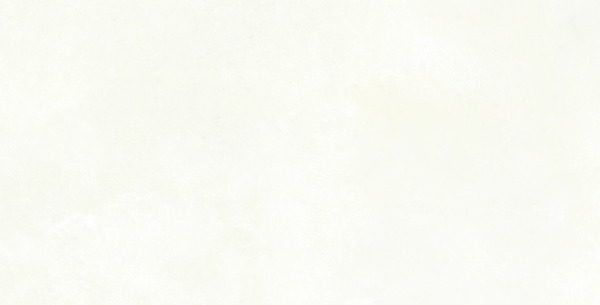 Bild 1 von Wandfliese Indiana 30 x 60 cm weiß