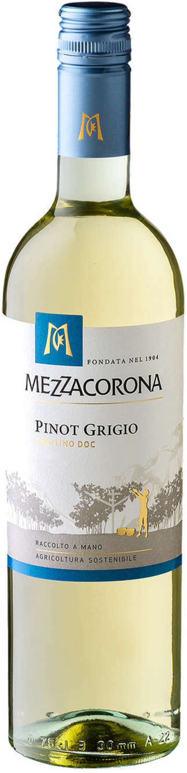 Bild 1 von MEZZACORONA Pinot Grigio, Merlot oder Chardonnay