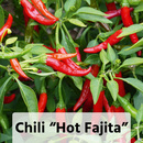 Bild 3 von Gurkenpflanzen Vielfalt Mix / Hot Peppers "Chill out"