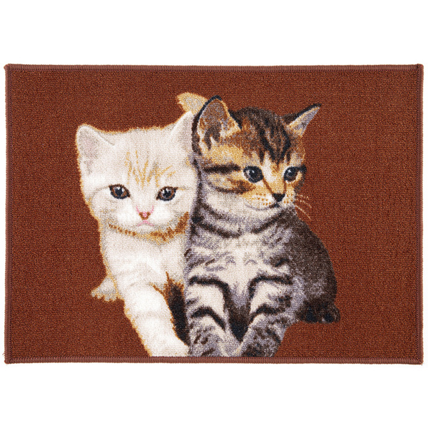 Bild 4 von Lifetex Fußmatte