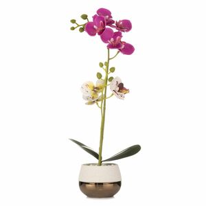 ABELLA Flora künstliche Orchidee 2 Blütenfarben Keramiktopf Höhe 45cm