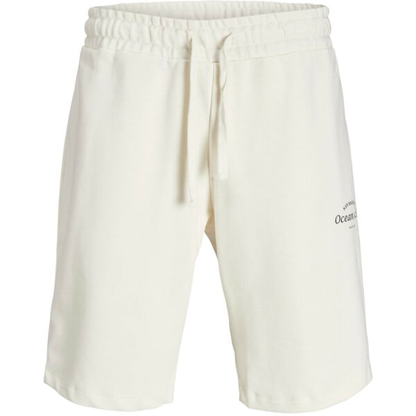 Bild 1 von Jack&Jones JPRBLAKAM OCEAN SWEAT Shorts