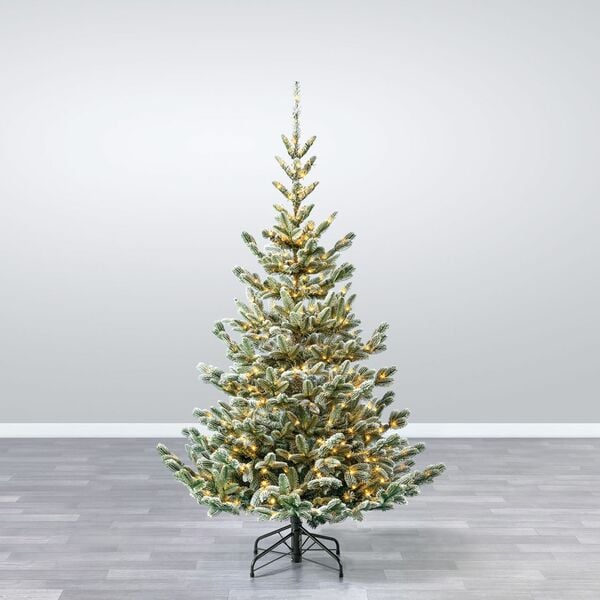 Bild 1 von Evergreen Weihnachtsbaum Nobilis Kiefer inkl. Lichterkette 180 cm