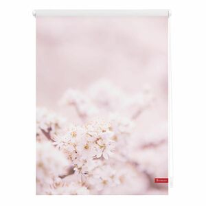 Lichtblick Rollo Klemmfix, ohne Bohren, blickdicht, Kirschblüten - Rosa Weiß, 45 cm x 150 cm (B x L)