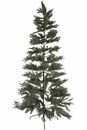 Bild 1 von MyFlair 210CM HING FULL PE TREE WITH 1009 TIPS METAL