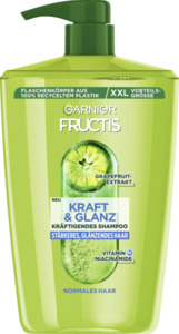 Garnier Fructis Shampoo Kraft & Glanz