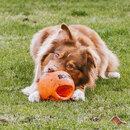 Bild 4 von ZEUS 
                                            Hunde-Spielball Bomber Durafoam