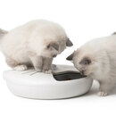 Bild 4 von CATIT 
                                            Katzen-Futterautomat PIXI Smart 6-Mahlzeiten