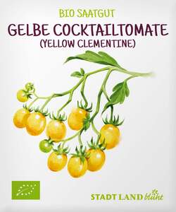 Stadt Land blüht Saatgut Gelbe Cocktailtomaten Samen, Sorte Yellow Clementine