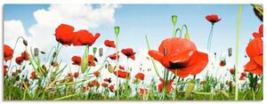 Artland Hakenleiste »Feld mit Mohnblumen unter Himmel«, MDF