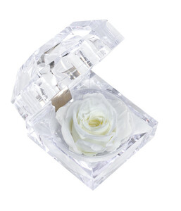 Longlife-Rose in Juwelenbox, ca. Ø3,5 cm