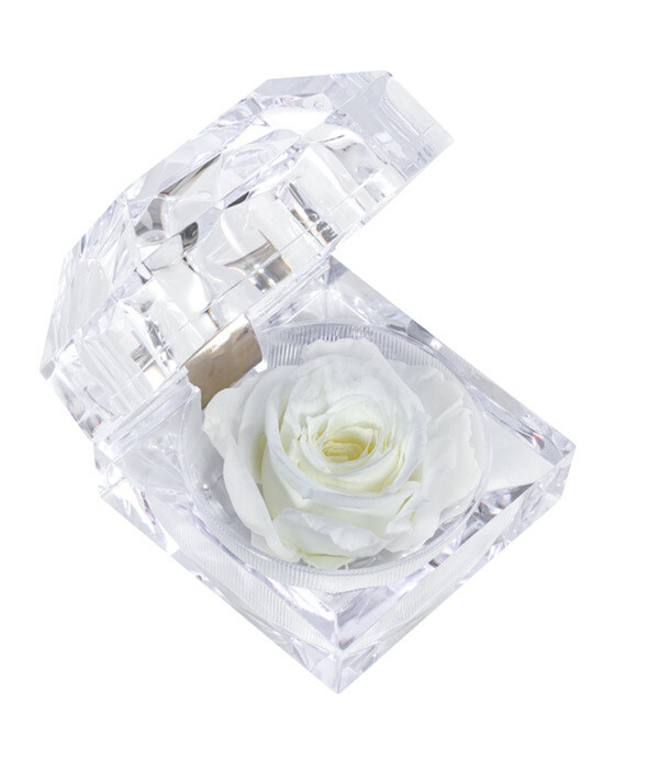 Bild 1 von Longlife-Rose in Juwelenbox, ca. Ø3,5 cm