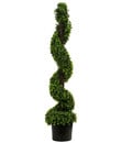 Bild 1 von Dehner Kunstpflanze Buchsspirale