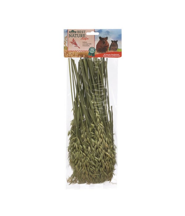 Bild 1 von Dehner Best Nature Hafer, 75 g