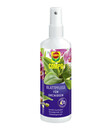 Bild 1 von COMPO Blattpflege für Orchideen, flüssig, 250 ml