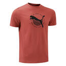 Bild 2 von Puma T-Shirt Herren Baumwolle - rot