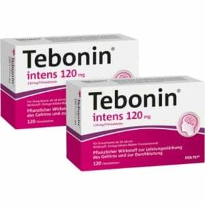 Tebonin intens 120 mg 240 St