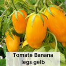 Bild 4 von Fruchtgemüse / Tomaten