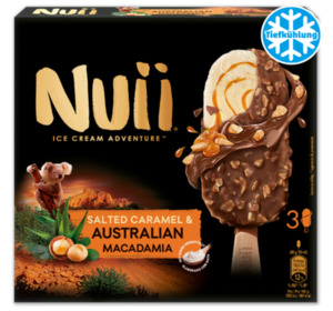 NUII Ice Cream Adventure*