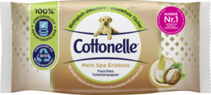 Cottonelle Mein Spa Erlebnis feuchtes Toilettenpapier Kaschmir & Shea Butter
