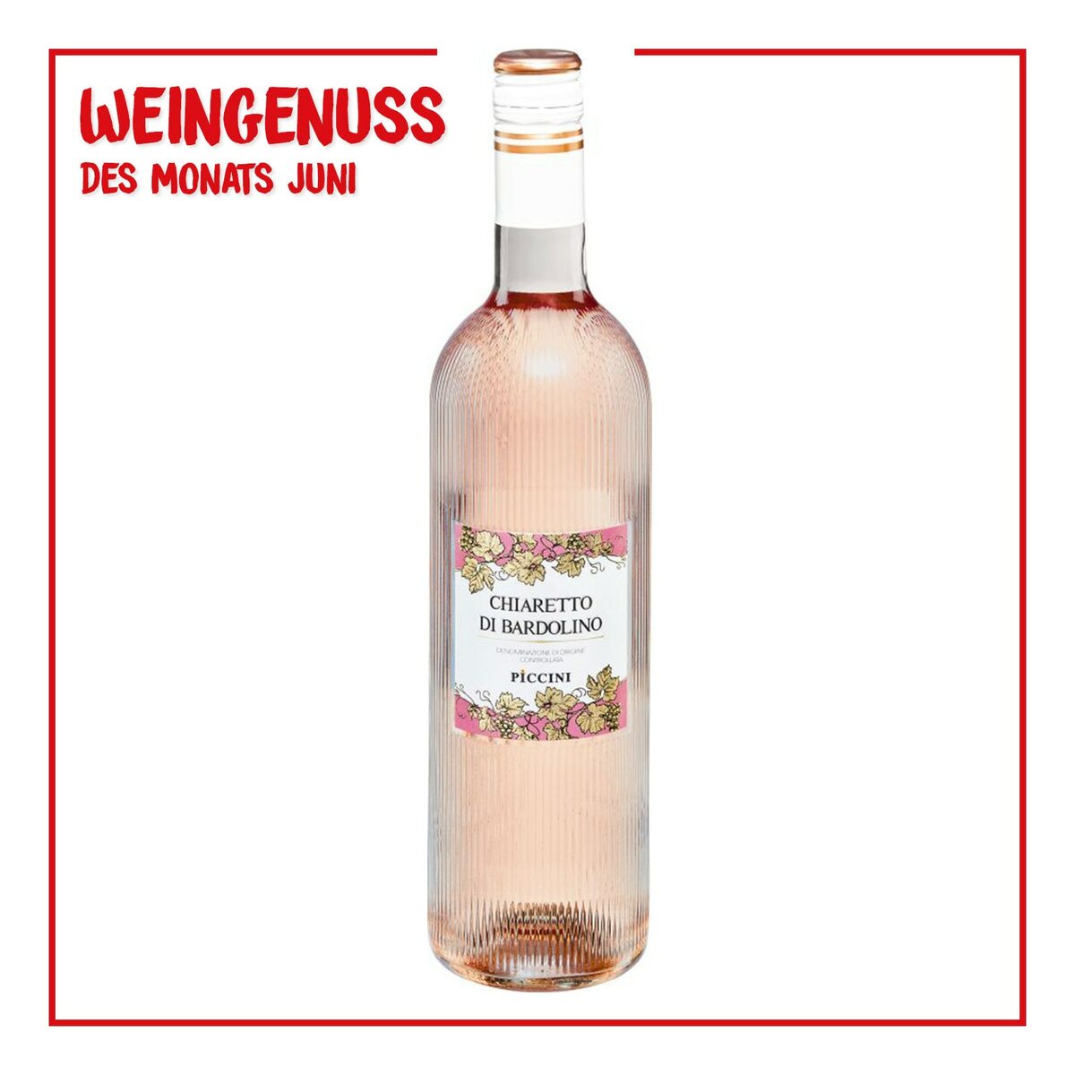 Bild 1 von Piccini Chiaretto di Bardolino 12,0 % vol 0,75 Liter