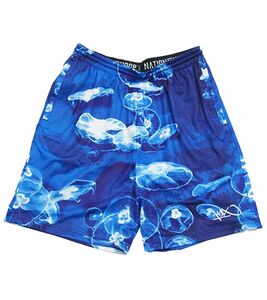 PARK AUTHORITY by K1X | Kickz Pacific Gnarly Shorts Herren Sport-Shorts 4152-4113/4153 Blau