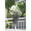 Bild 1 von Blumentopf Flowerclip 3-er Set