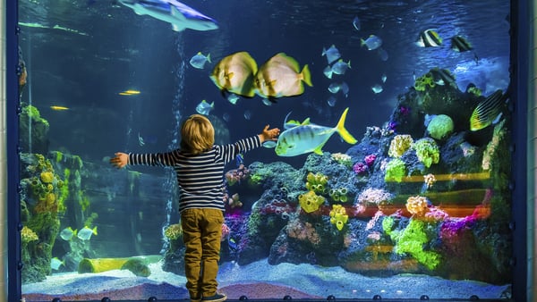 Bild 1 von Oberhausen - 4*S Parkhotel Oberhausen "Familienspaß mit Lego, Sealife & CinemaxX"