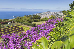 Flugreisen Portugal - Madeira: Badeurlaub in Funchal im Hotel Pestana Village & Miramar