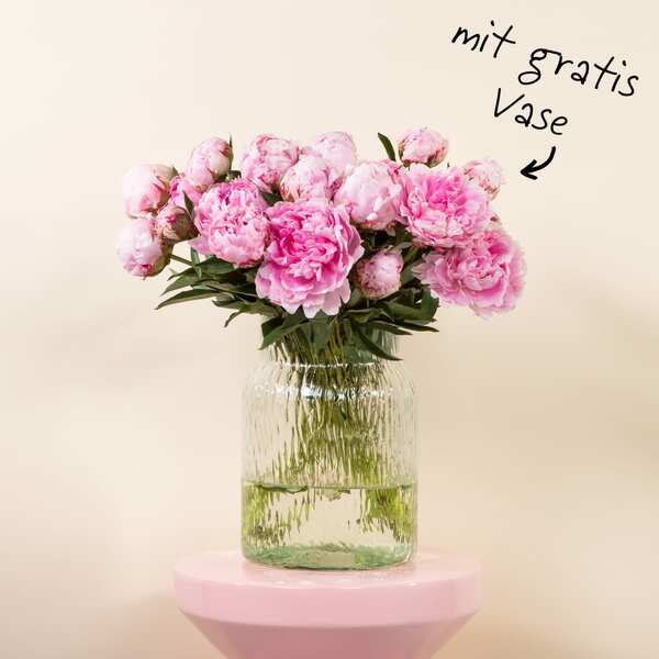 Bild 1 von Pfingstrosen in Rosa 20 Stiele mit gratis Lieblings-Vase L