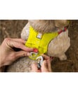 Bild 2 von RUFFWEAR® Hundegeschirr Hi & Light™ Harness 2.0