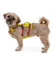 Bild 3 von RUFFWEAR® Hundegeschirr Flagline Harness 2.0