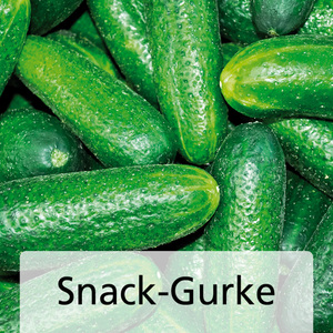Snack-Gemüse / Zucchini-Besonderheiten
