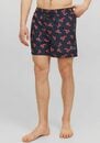 Bild 1 von Jack & Jones Badeshorts JPSTFIJI JJSWIM AOP LY SN