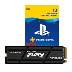 Kingston FURY Renegade NVMe SSD 4 TB TLC PCIe 4.0 inkl. PlayStation Plus 12M DE