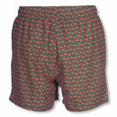 Bild 2 von Arena Badeshorts Jimbaran Short im frischen Design