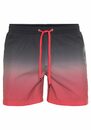 Bild 4 von Quiksilver Badeshorts Herren Beach Shorts Swim Shorts