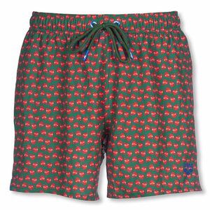 Arena Badeshorts Jimbaran Short im frischen Design