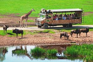 Eigene Anreise Hodenhagen: Familienabenteuer im Serengeti-Park inmitten der Lüneburger Heide