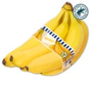 Bild 1 von Bananen*