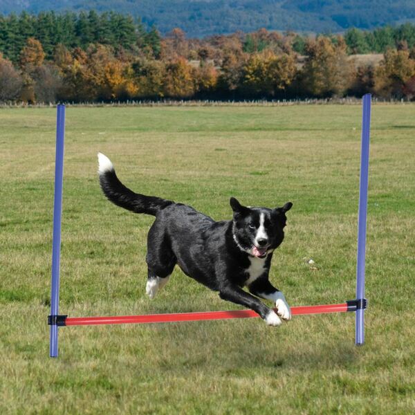 Bild 1 von Hunde Agility-Trainingsset mit höhenverstellbarer Sprungstange