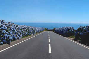 Rundreisen Portugal - Azoren: Mietwagen-Rundreise ab/an São Miguel über Pico und Faial