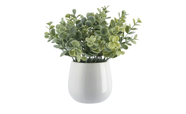 Bild 1 von Kunstblume grün Kunststoff, Schaumstoff, Keramik Maße (cm): H: 22  Ø: [16.0] Dekoration