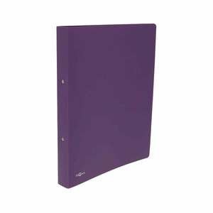 Pagna Ringbuch DIN A4 Kunststoff 25 mm violett